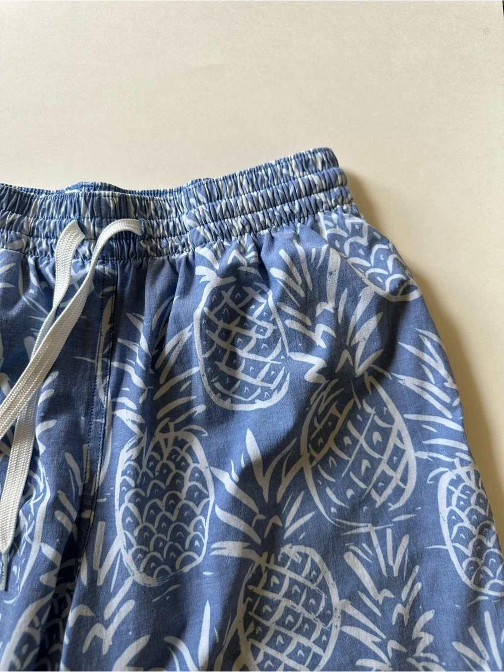 Chubbies Blue Pineapple The Thigh-napples swim trunks